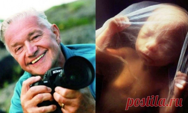 ТАИНСТВО ЗАРОЖДЕНИЯ ЖИЗНИ... это интересно... (фото) | Давай поговорим