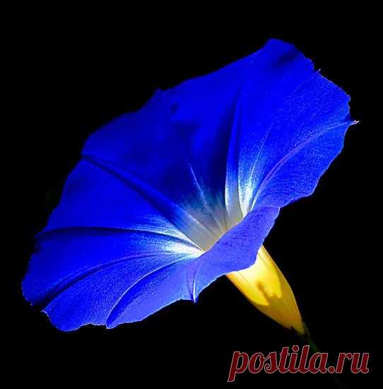 (311) Pinterest