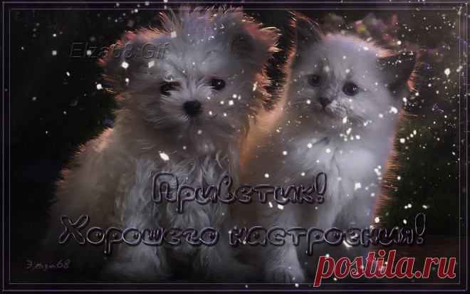 0_1572eb_ab69aada_orig (800×500)