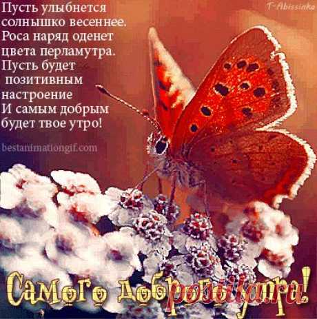 Живые фотографии – Живые картинки – Сообщество – Google+