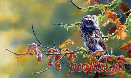 Пенье птиц... Художница Сьюзен Бордет (Susan Bourdet).