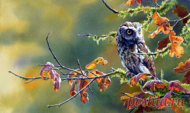 Пенье птиц... Художница Сьюзен Бордет (Susan Bourdet).