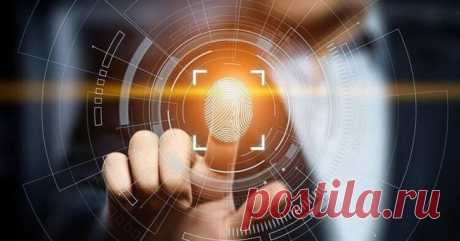 Вопрос на засыпку: почему отпечаток пальца человека уникален