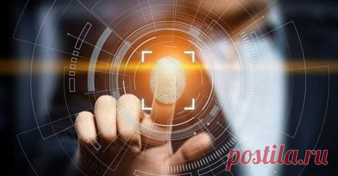Вопрос на засыпку: почему отпечаток пальца человека уникален