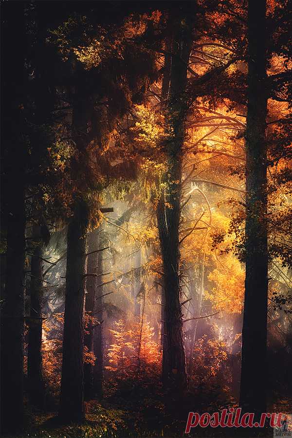 The World Is Beautiful