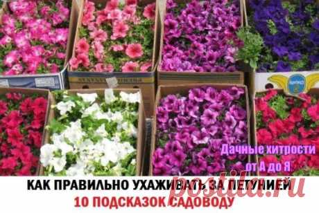 (54) Одноклассники