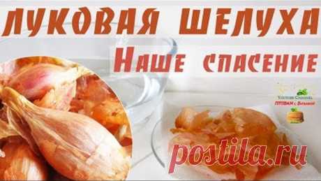 Луковая шелуха – СПАСЕНИЕ нашей семьи. Чем полезна? Что лечит? Как приготовить отвар