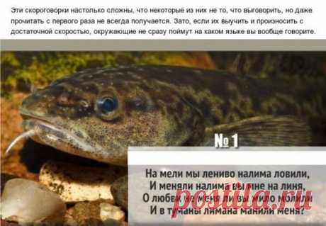 Наташа Мадяр