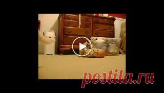 Мама оставила ребенка с собакой наедине