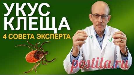Что делать если Вас укусил клещ - последние Европейские рекомендации CDC и IDSA