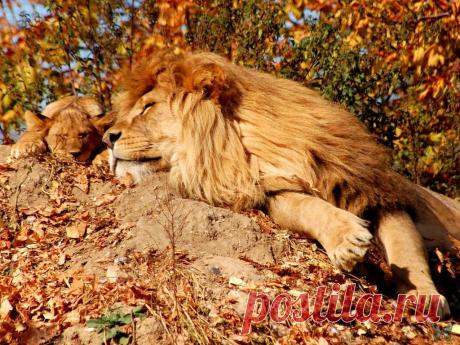 Василий Тимошин vasiliy-timoshin (Vasilek), Москва, Россия на Мой Мир@Mail.RU