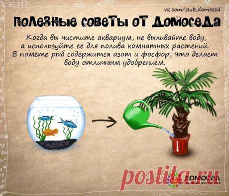ДЛЯ ДОМА советы, интерьер,оформление . | Записи в рубрике ДЛЯ ДОМА советы, интерьер,оформление . | Дневник sherila