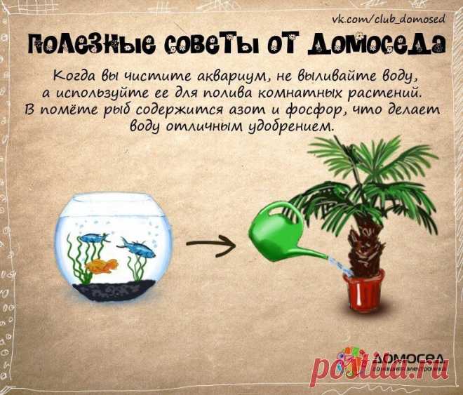 ДЛЯ ДОМА советы, интерьер,оформление . | Записи в рубрике ДЛЯ ДОМА советы, интерьер,оформление . | Дневник sherila
