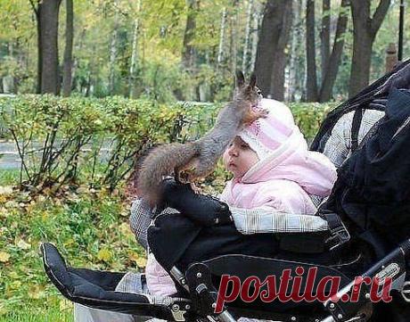 Ищу партнера для онлайн-бизнеса. Требования: активн, целеустремленная девушка, 22-35 лет, знание ПК и интернета, образование не имеет значения. Вложений не требуется.