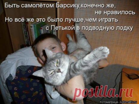 Свежая прикольная котоматрица (34 фото)