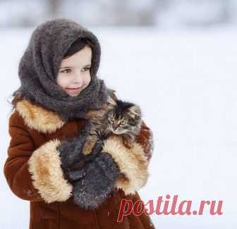 Экология: береги природу! | Животные и растения