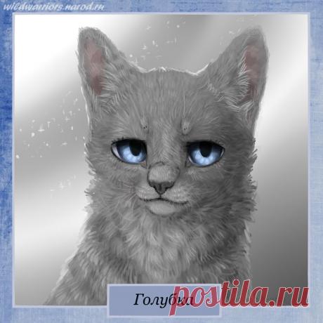 Dovewing. Warriors by Romashik-arts on DeviantArt