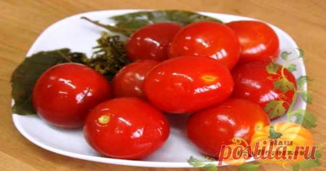 Квашеные помидоры на зиму в кастрюле, ведре и банках: вкуснятина 6 рецептов, как заквасить красные и зеленые помидоры под капроновую крышку и жестяную крышку