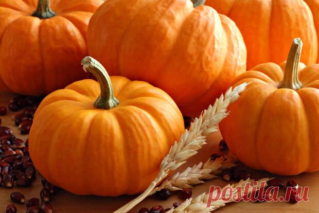 Тыква на зиму: 9 оригинальных рецептов заготовок - Огород, сад, балкон - медиаплатформа МирТесен Тыквенный пирог, тыквенные цукаты, суп-пюре из тыквы — все эти блюда знакомы большинству любителей этого солнечного овоща. Но мало кто знает, что из тыквы также получаются вкуснейшие заготовки на зиму. На днях я основательно покопалась в своих архивах и выбрала для вас 9 лучших рецептов из тыквы на