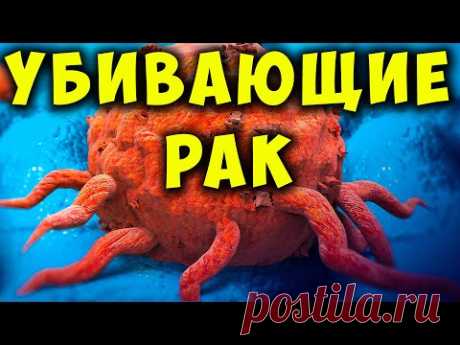 Рак Умирает, когда вы Едите эти 15 продуктов! Продукты Против Рака