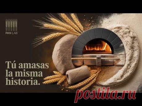 La sorprendente historia detrás del pan que comes hoy | Episodio 1