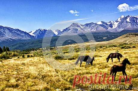 Stock Photos, Royalty-Free Images & Video Footage By Dreamstime Stock Photography