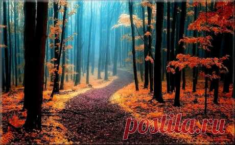 Зов странствий.  © Janek Sedlar  |  Все-таки осень — это прекрасно  |  adme.ru
