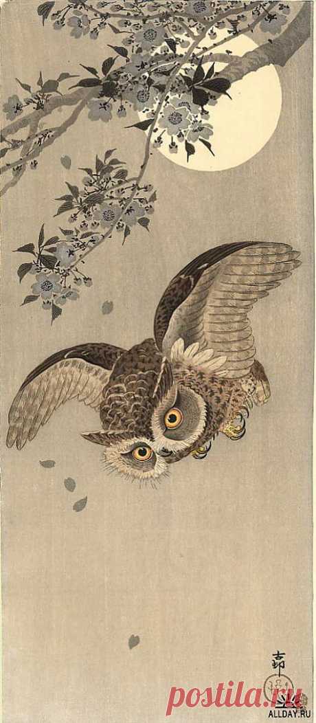 Японская живопись Художник Koson (Naga Oban) » ALLDAY - народный сайт о дизайне
