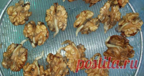 Обновляем организм с помощью этого продукта: уникальный рецепт молодости от наших предков. Стоит попробовать!