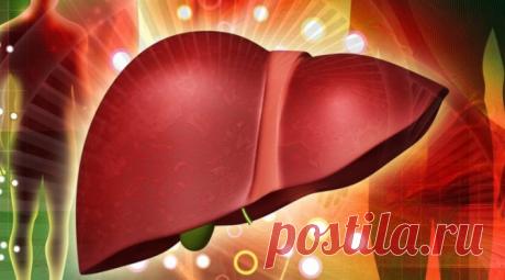 Как улучшить работу печени и восстановить обмен веществ | Молодость в твоих руках