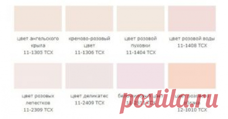Оттенки розового (длиннопост) А как много оттенков розового можете назвать вы?Источник: https://(домен, который запрещен)/topic/1835893-kazhdyj-ohotnik-zhelaet-znat-gde-sidit-fazan-izuchaem-nazvaniya-tsvetov-rozovyj?vr=1&amp;amp;i