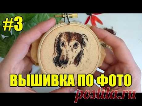 Вышивка портрета собаки по фото. Процесс.