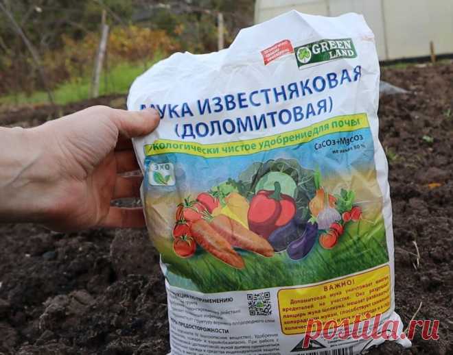 Гениально. С этой мукой земля без навоза дает огромные урожаи. Рассказываю об улучшении скудной земли по методу Митлайдера. | Сад огород лайф. (Статьи) | Дзен