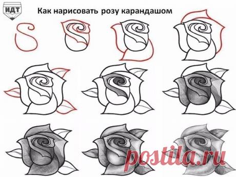 ИДЕИ для творчества