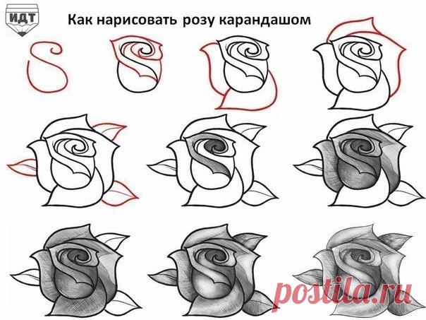 ИДЕИ для творчества