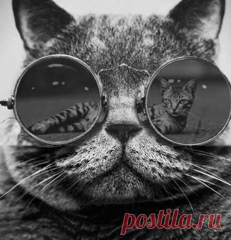 Утро доброе, Камрады!!!
