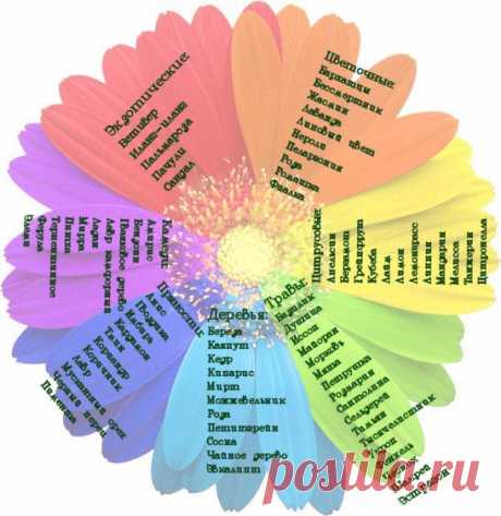 Таблица сочетаемости Эфирных Масел: PRO красоту: Группы - diets.ru