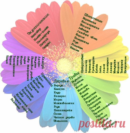 Таблица сочетаемости Эфирных Масел: PRO красоту: Группы - diets.ru