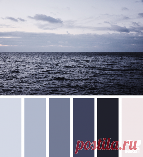 design seeds | for all who ♥ color