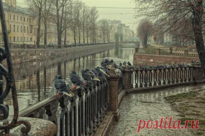 Pin page