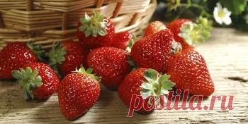 Польза и вред клубники