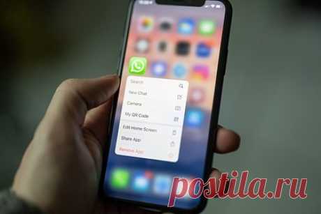 В WhatsApp появилась новая функция. В WhatsApp появились чаты с виртуальными помощниками, работающими на базе искусственного интеллекта (ИИ). Специалисты портала отметили, что в меню мессенджера появилась специальная иконка, нажав на которую можно начать общение с виртуальным помощником. Нововведение доступно в версии приложения под номером 2.23.24.26.