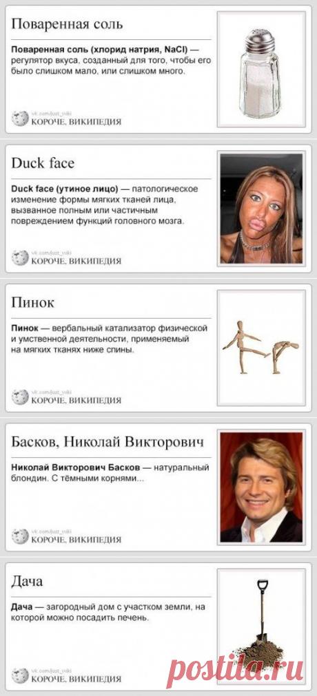 Короче, Википедия (26 фото)