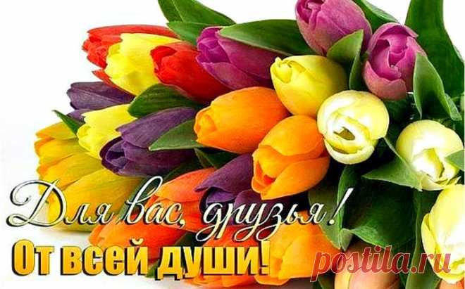 image (910×566)