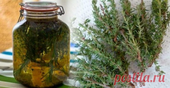Эликсир молодости профессора Ефимова: целительное зелье для каждого сантиметра вашего тела