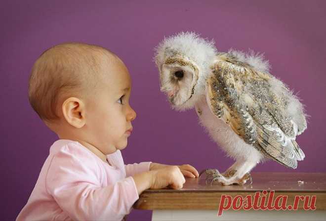 Знакомство.