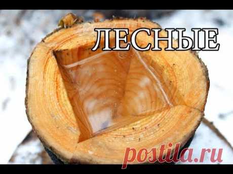 7 ПРОСТЫХ СОВЕТОВ ДЛЯ ЛЕСА | 7 BUSHCRAFT TIPS