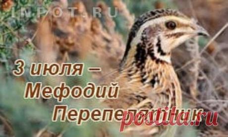 В день Мефодия Перепелятника желаю крепкого здоровья, светлых мыслей и безоблачного неба! Пусть погода в жизни всегда будет теплой, а любые дела спорятся легко и быстро! Открытки на Мефодий Перепелятник!