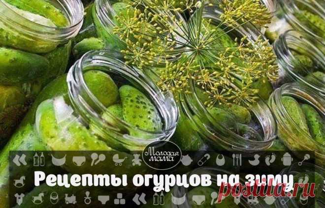 Интересные новости