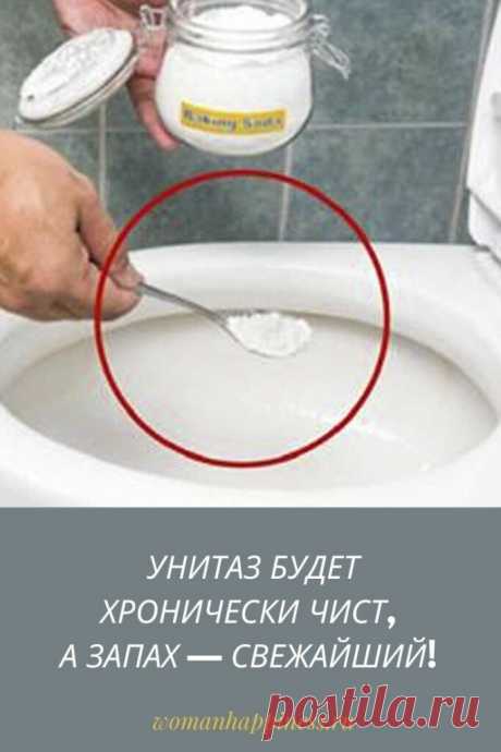 Унитаз будет постоянно чист, а запах — свежайший! Всё, что потребуется, это… Эти бомбочки не только устраняют неприятные запахи, но и убивают всех микробов. Теперь в твоей туалетной комнате будет всегда приятный запах! Тебе понадобится: Кликайте на фото, чтобы прочитать ⤴